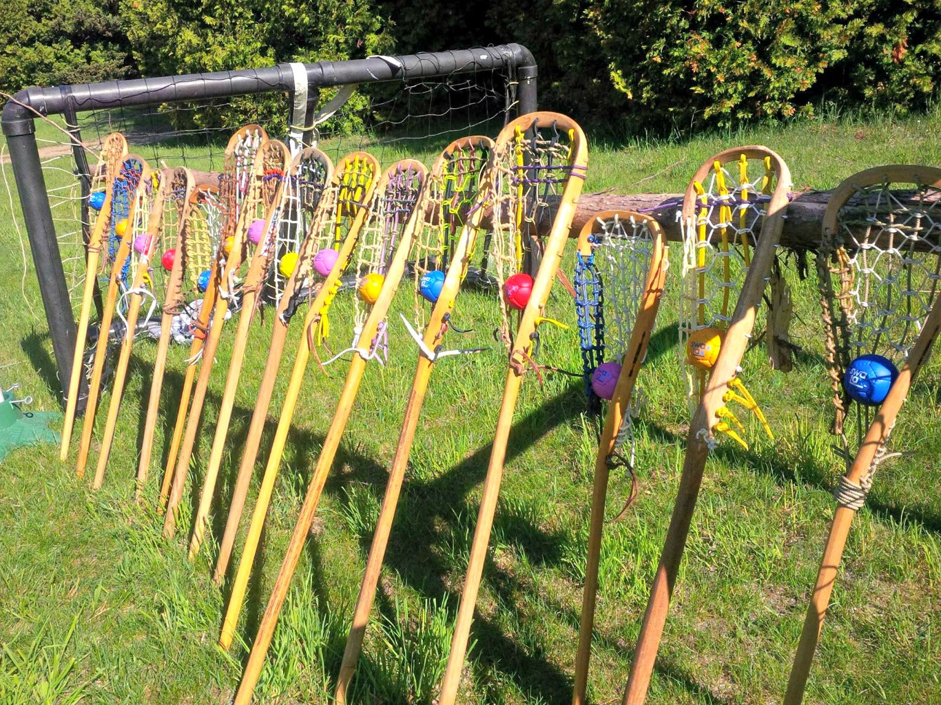 Lacrosse: The Old and The New